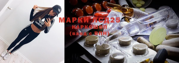 дживик Магас