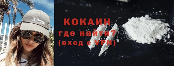 дживик Магас