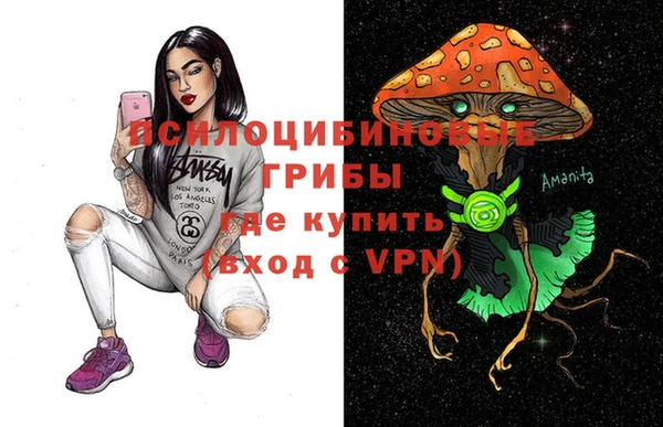 прущие крисы Новосибирск