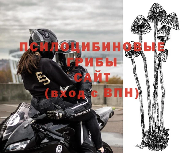 трава Медногорск
