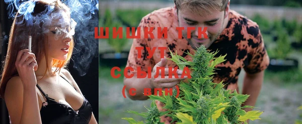 дживик Магас
