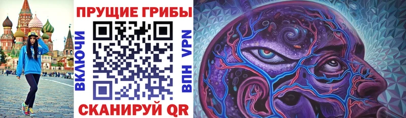 Галлюциногенные грибы Psilocybine cubensis Прокопьевск