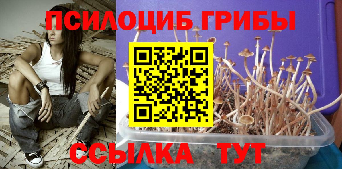 Галлюциногенные грибы Psilocybine cubensis  Вход с VPN  Галлюциногенные грибы Psilocybe  Прокопьевск 